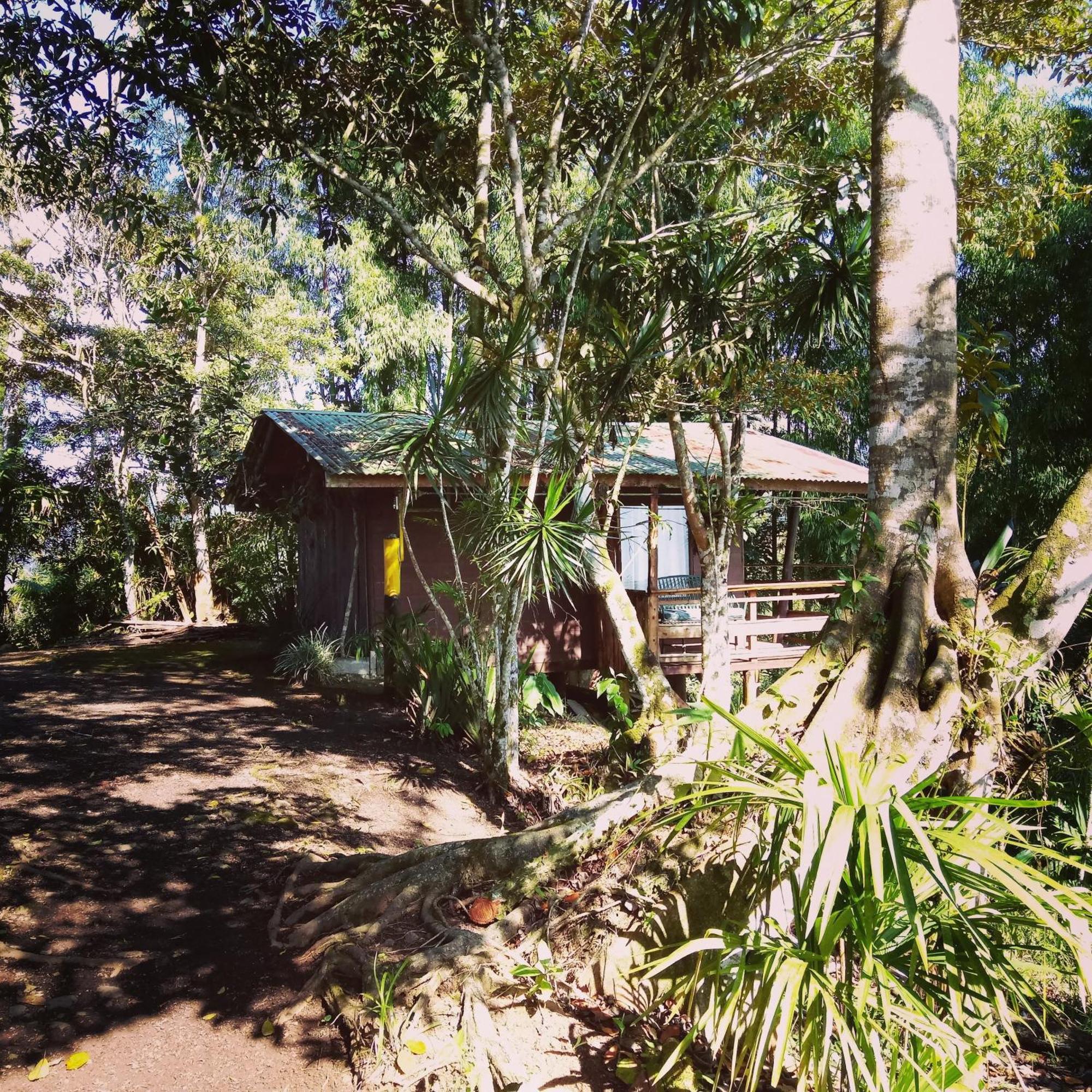 Pochotel Turrialba Pokoj fotografie