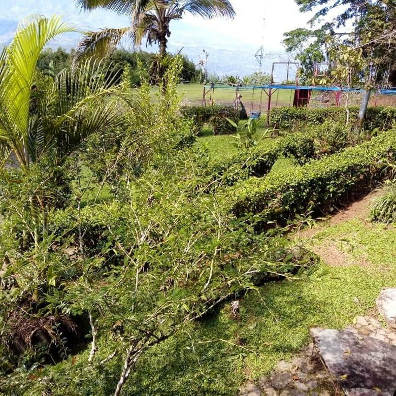 Pochotel Turrialba Exteriér fotografie