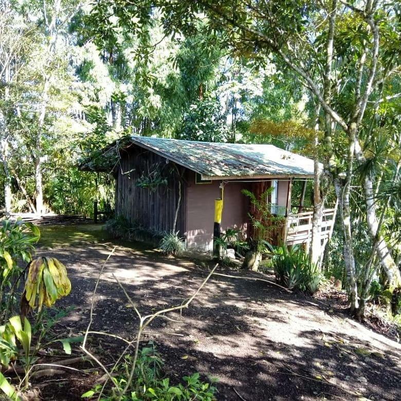 Pochotel Turrialba Exteriér fotografie